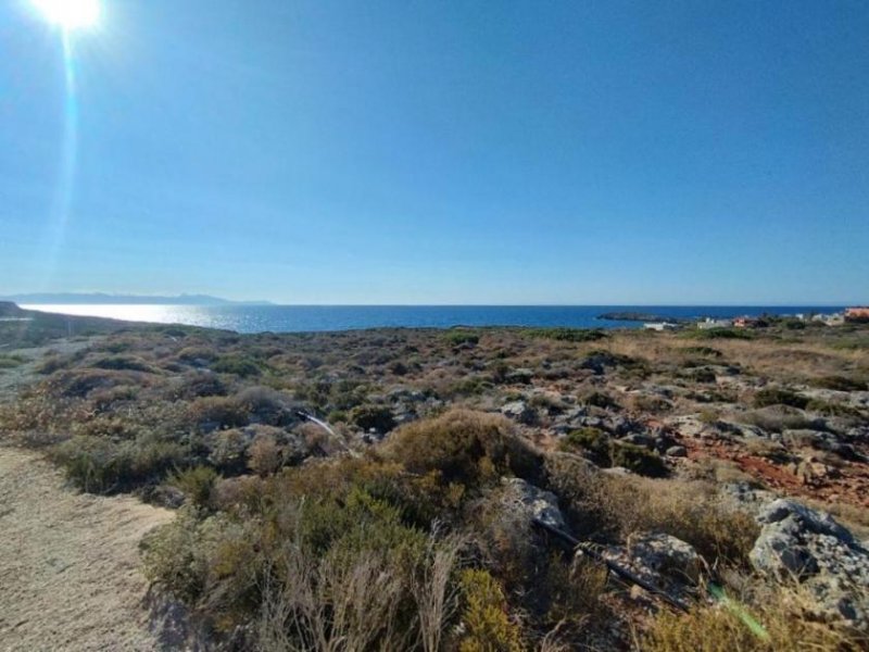 Stavros Kreta, Stavros: Küstengrundstücke mit Baugenehmigung und Meerblick zu verkaufen Grundstück kaufen